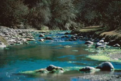 PN El Rey. Salta. Argentina