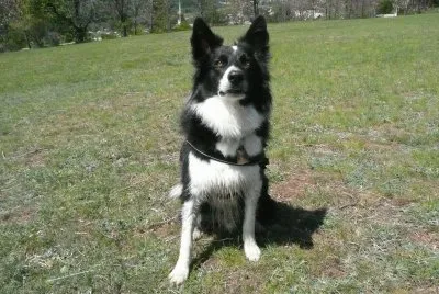 kenaÃ¯ attend sa balle