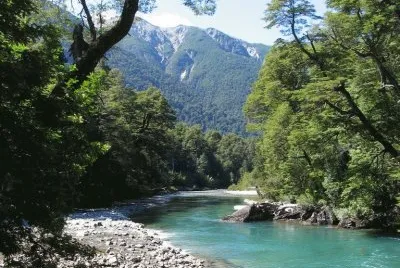 PN Los Alerces. Chubut. Argentina