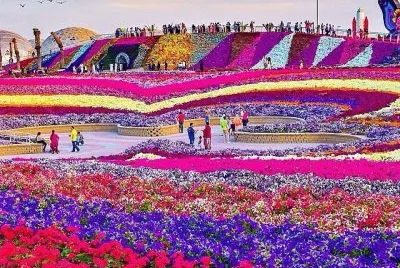 739 jigsaw puzzle