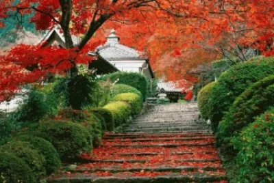 paisajes