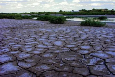Orillas del Saladillo. Santiago del Estero. Argentina