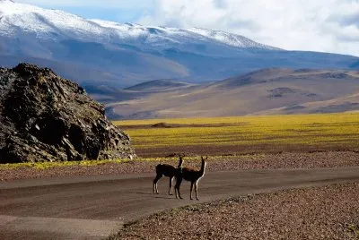En la RN 60. Catamarca. Argentina