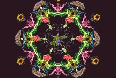 caleidoscopio jigsaw puzzle