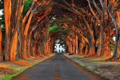 imagens jigsaw puzzle