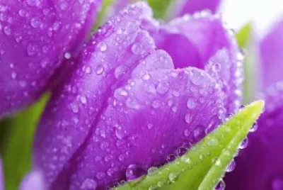 imagens jigsaw puzzle