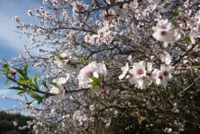 imagens jigsaw puzzle