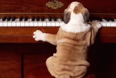 pianista