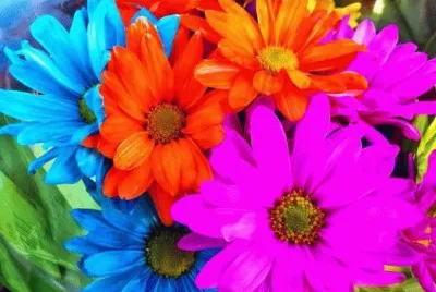 Spring Bouquet jigsaw puzzle