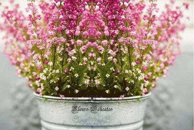 imagens jigsaw puzzle