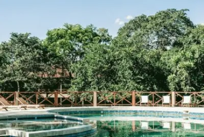 En la Selva de IryapÃº. Misiones. Argentina