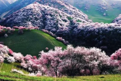 imagens jigsaw puzzle