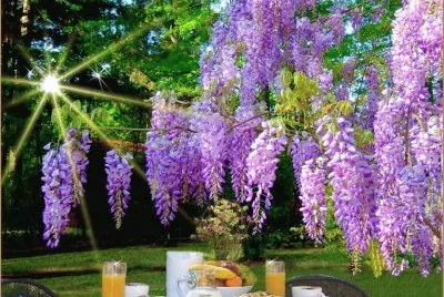 imagens jigsaw puzzle