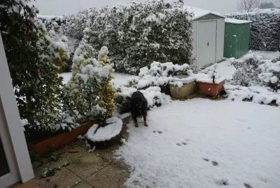 Lilou dans la neige