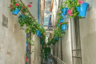 Calle De las Flores-Cordoba