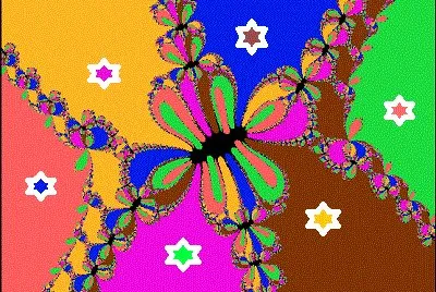 lily6