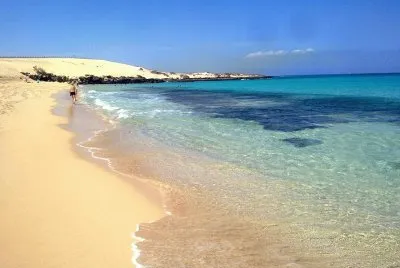 canarias jigsaw puzzle