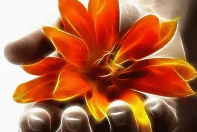 imagens jigsaw puzzle