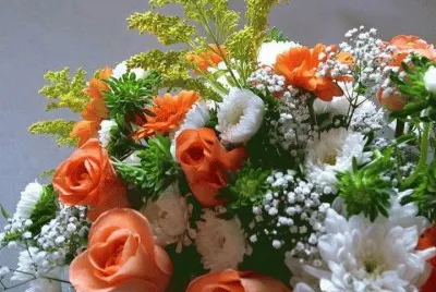 imagens jigsaw puzzle