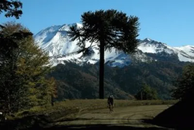 imagens jigsaw puzzle