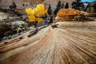 imagens jigsaw puzzle