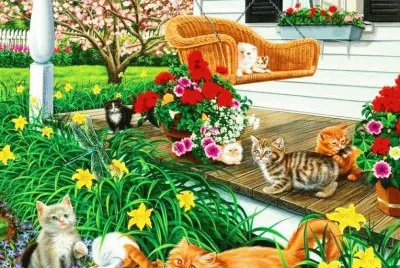 gatos jigsaw puzzle