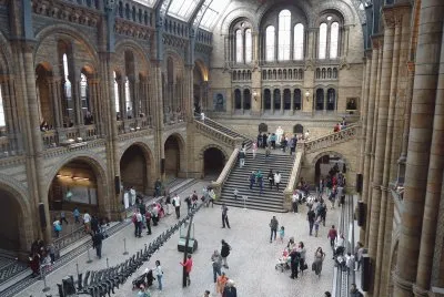 Museu Natural de HistÃ³ria - Londres jigsaw puzzle