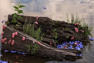 triunfo de la vida jigsaw puzzle