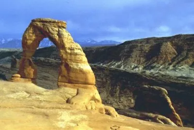 NATUREZA jigsaw puzzle