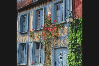 466 jigsaw puzzle