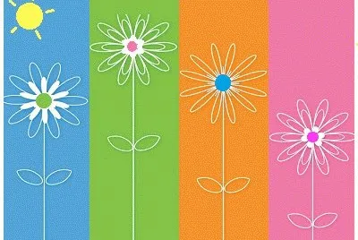lily6