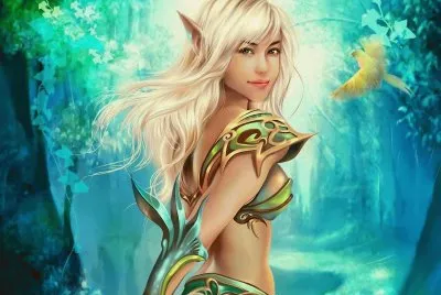elfa jigsaw puzzle