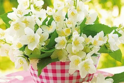 imagens jigsaw puzzle