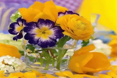 imagens jigsaw puzzle