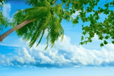 פאזל של imagens