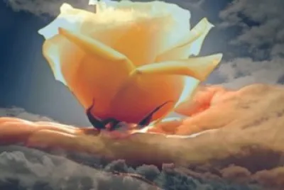 פאזל של imagens