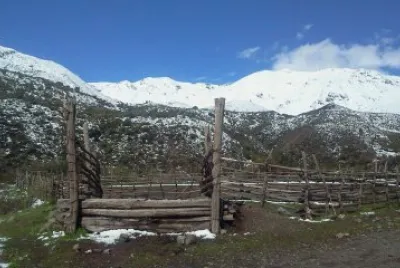 פאזל של paso vergara