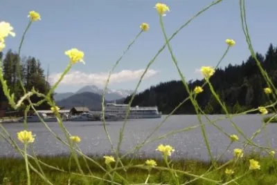 פאזל של Puerto PaÃ±uelo. Provincia de RÃ­o Negro. Argentina