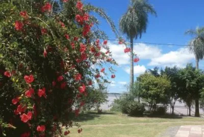 פאזל של Isla del Cerrito. Chaco. Argentina