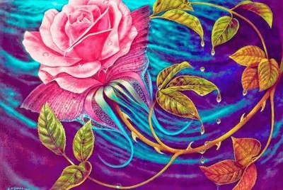 Amazing Rose