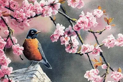 פאזל של imagenes