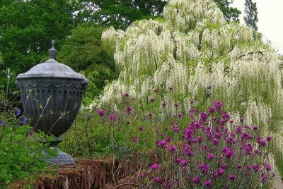 פאזל של primavera