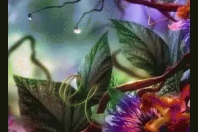 imagenes jigsaw puzzle