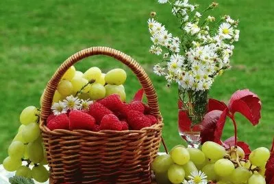 imagens jigsaw puzzle