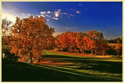 otoÃ±o jigsaw puzzle