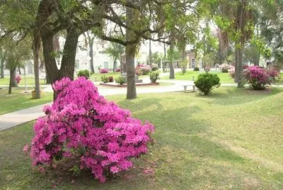 Romang. Santa Fe. Argentina jigsaw puzzle