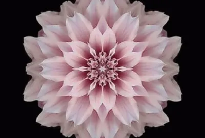 mandala jigsaw puzzle