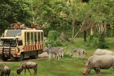 safari and marine park jigsaw puzzle