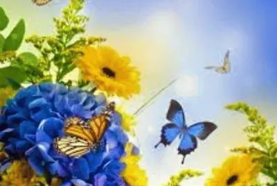 imagens jigsaw puzzle