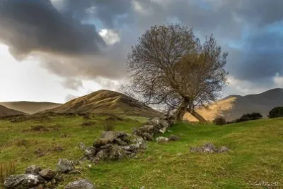 imagens jigsaw puzzle